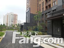 抓紧 抓紧 跨抓紧 直接一手