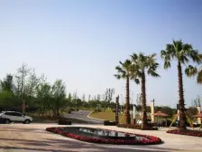 全款无按揭 交易方便 顶跃户型 视野好 交通方便