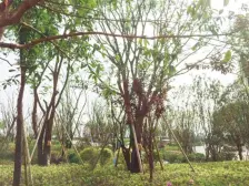 交易方便 一梯两户配置很不错 配套齐全,自带车位。