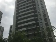 200平大露台,看黄浦江景,人车分流,有会所,18号线