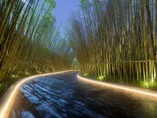 一线临看江大平层带两个大露台视野开阔无遮挡