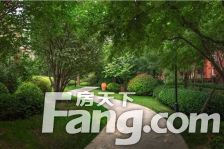 新出顶楼复式带露台 219平东边户 致远翡翠园洋房