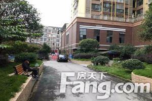 南鑫源 3室2厅 西南