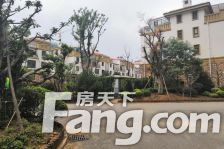 楼层好,视野开阔.............