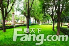 恒大名都 拎包入住 楼层好