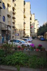 怡湖西苑 3室1厅 西北