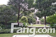 西派国际 4室2厅 东 西