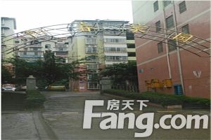 阳春路,精装4室3卫,拎包入住,顶跃带露台,