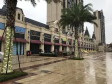 边位花园别,墅带两个车位,看房方便