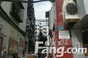 金鱼岭花园 3室1厅 东南