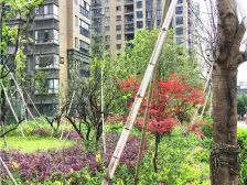 奥克斯缔壹城 1室1厅 南