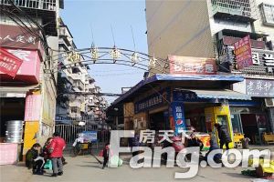 伍家垭梨园一小区 2室1厅 东南