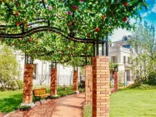 环境优美宜人,九龙湖音乐喷泉,闹中取静,出行方便