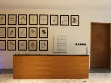 英式联排别墅,私密性好,不临街不临路,南北花园