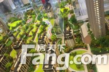 万科城市之光 3室2厅 南 北