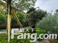 大别墅区无欠款联排别墅中间位带花园南入户朝向好