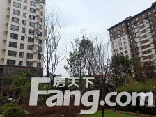 此房视野开阔,楼前无遮挡,采光视野好