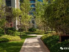 电梯好楼层三室两卫毛坯车库单算