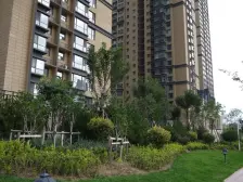 西关 省政府 元森 玉兰园 毛坯 正规户型 诚意出售