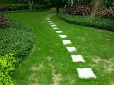 院子毛坯望江大平层,可灵活装修设计,诚意出售