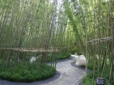 佛山院子,别墅单边位,地下室够大