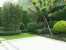 佛山院子,精装修,南向,未住过,业主诚意出售