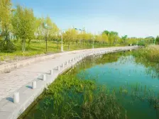 洋房105平三室一楼带四五十平方的院,业主急售。