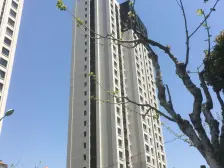 阳明新上新上新上 人车分流 精装南北三房 位置安静