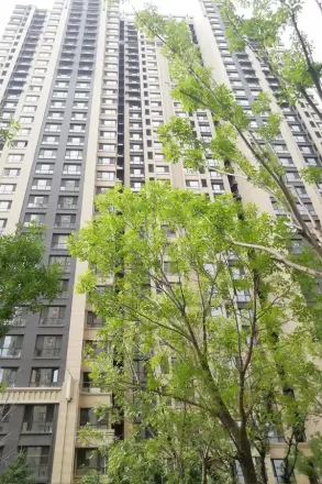 太原保利香槟国际