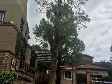 南城 鼎峰源著双拼别墅,毛坯的,随时可以看房