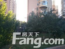 金桥澎湖湾小高层两室带装修出售