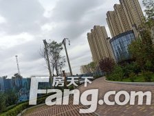 桐楠阁领誉1室1厅南