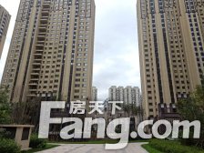 桐楠格领誉一室一厅精装修三阳格局板正