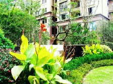 安亭瑞仕锦庭3室西朝向450.00万元/套出售