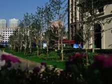 易大天地 精装 电梯房 朝南北 采光无遮当 手续齐全