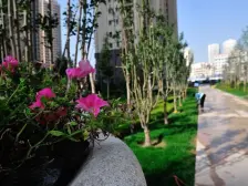 易大天地精装电梯 朝南采光无遮当手续齐全可以贷款