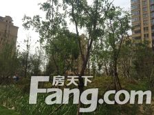 森泰御城上院小高层,大三室,一层有院子,业主急售