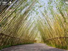 龙洲湾 洺悦城龙洲湾1组团三房