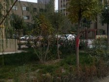 雁滩万达商圈格林庭院3室南北通透产权清晰看房方便