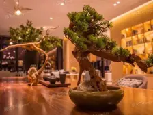 唯一,无抵押,采光充足。精装修。