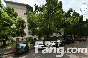 东苑新村 2室1厅 南