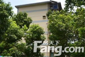 炼化东苑新村低楼层二室一厅出售