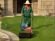 云顶山庄 5室2厅 东南