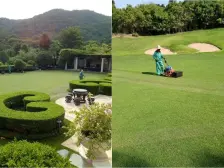 云顶山庄 5室2厅 东南