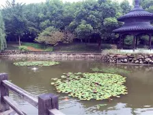 云熙台洋房三房双卫,业主诚心出售,随时看房,