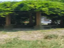 新上房源 满两年 银河柳岸 3房3卫 自住保养好