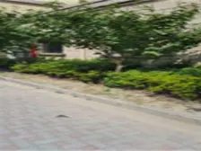 四周绿化景光好 空气环境好 小区楼间距大