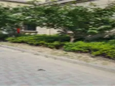 聚沙佳苑 3室2厅 东南