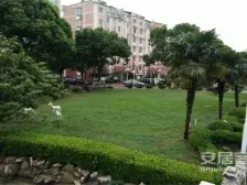 常客隆信一隆庭 3室2厅 南