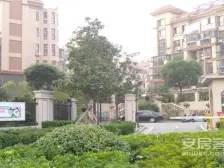 望虞花园 小高层电梯复式1房 采光好 视线开阔